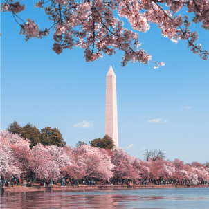 Find career opportunities in the Mid-Atlantic